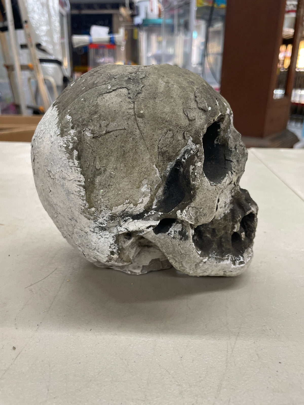 Skull Prop