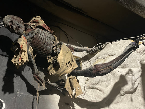 Hanging Skeleton Prop #2