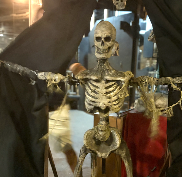 Peek-a-Boo Skeleton Prop