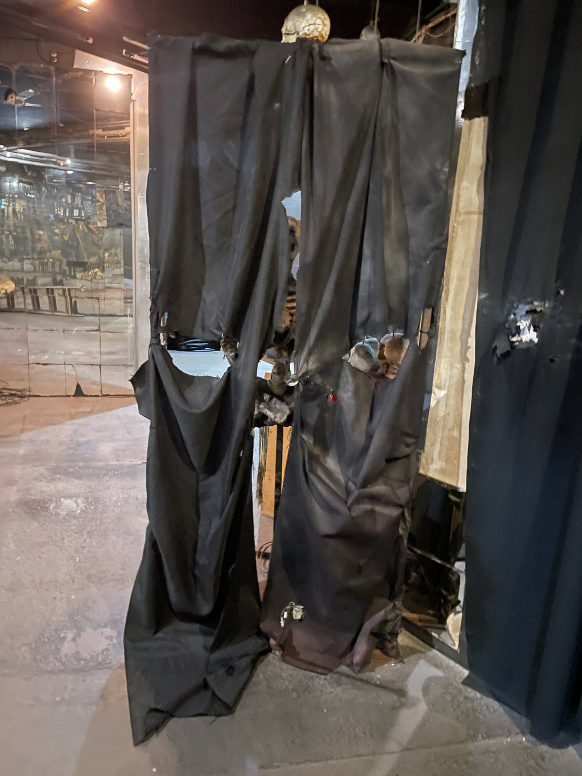 Peek-a-Boo Skeleton Prop