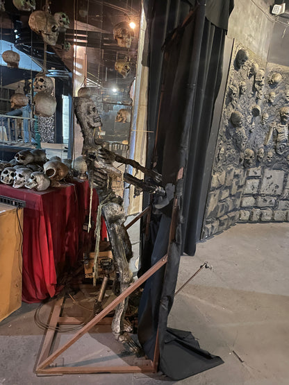 Peek-a-Boo Skeleton Prop