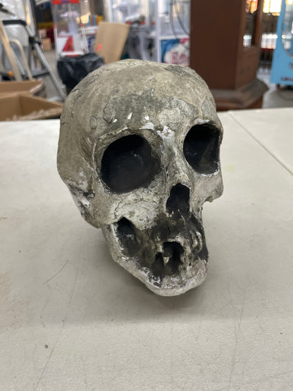 Skull Prop