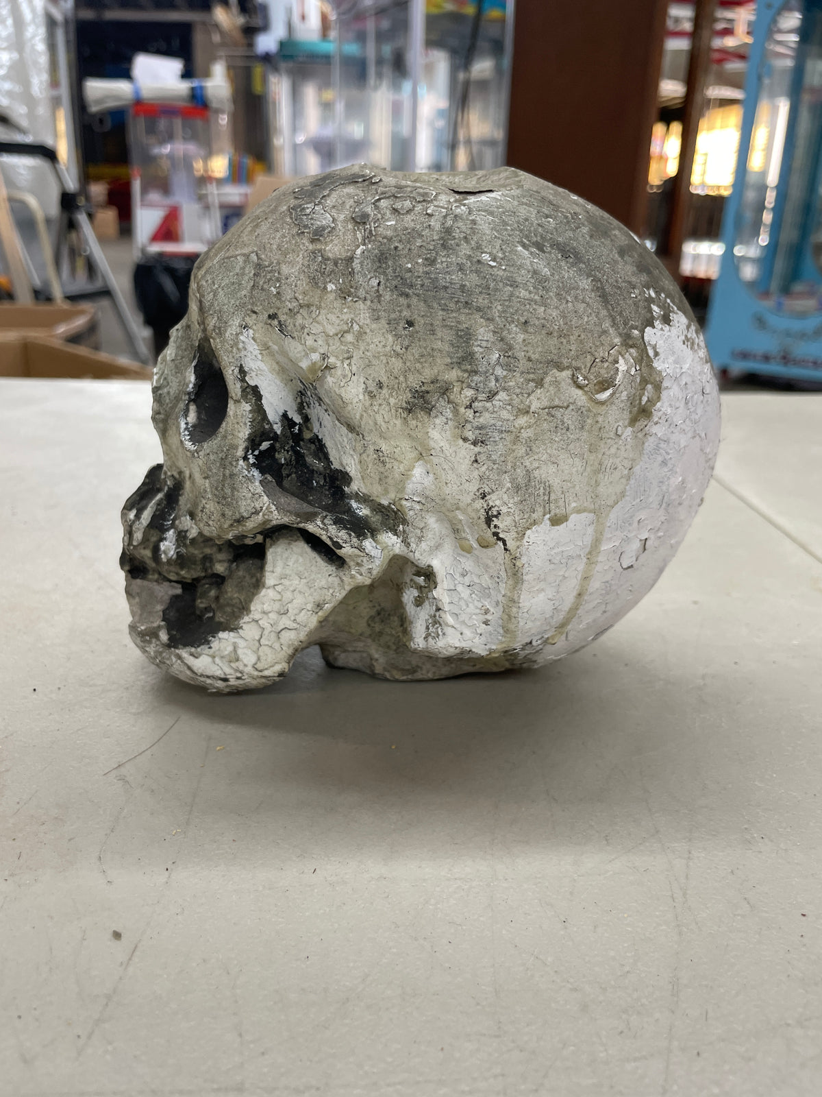 Skull Prop
