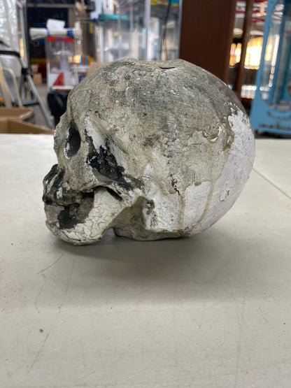 Skull Prop
