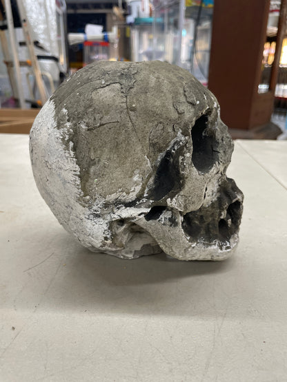 Skull Prop