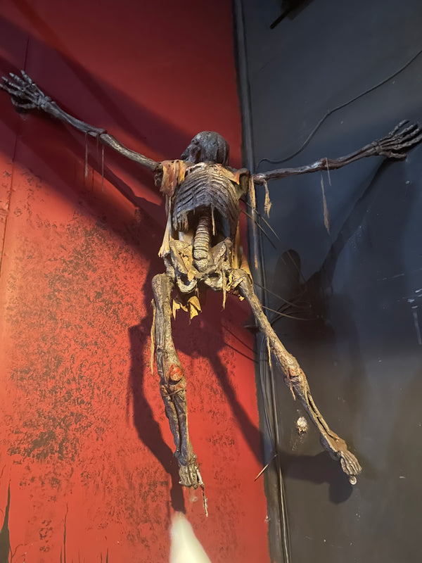 Hanging Skeleton Prop #1