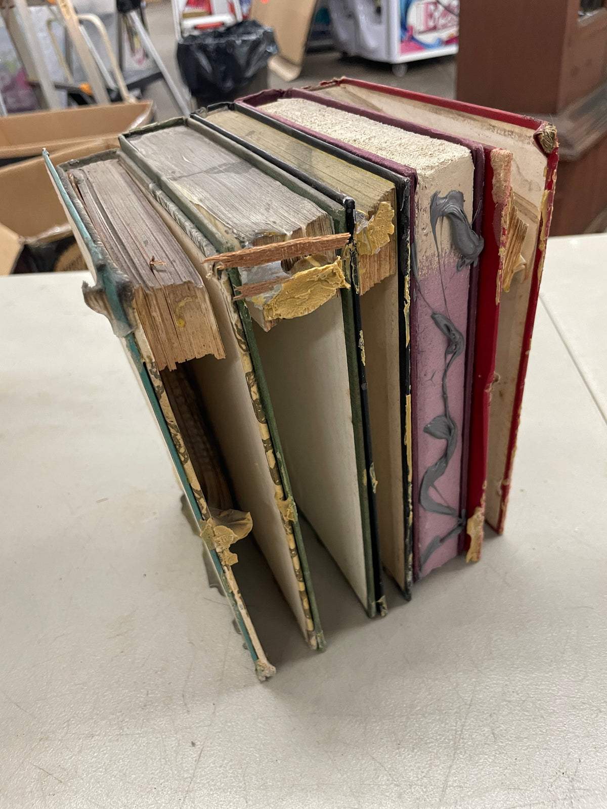 Wolf Book Stack