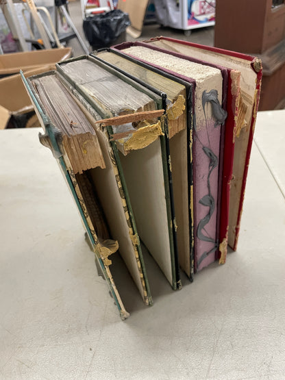 Wolf Book Stack